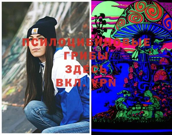 круглые Алзамай